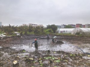 东方河道鱼塘清淤